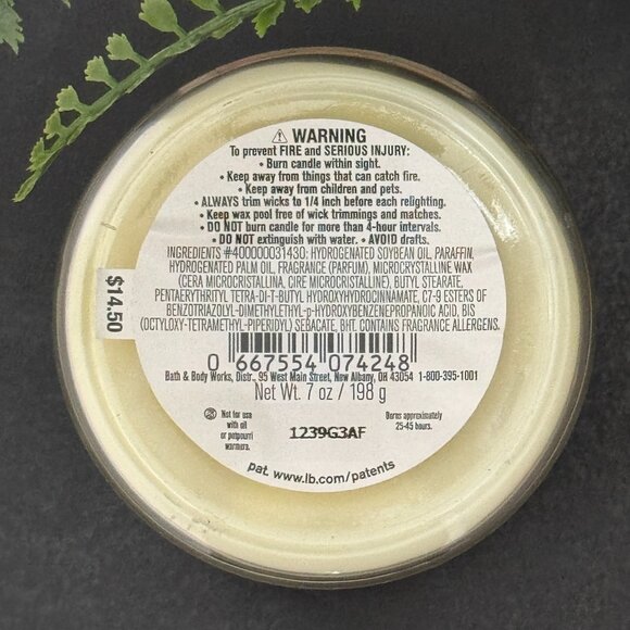 BBW Cactus Blossom White Barn Bath & Body Works Mason Jar Single Wick Candle - Picture 10 of 10